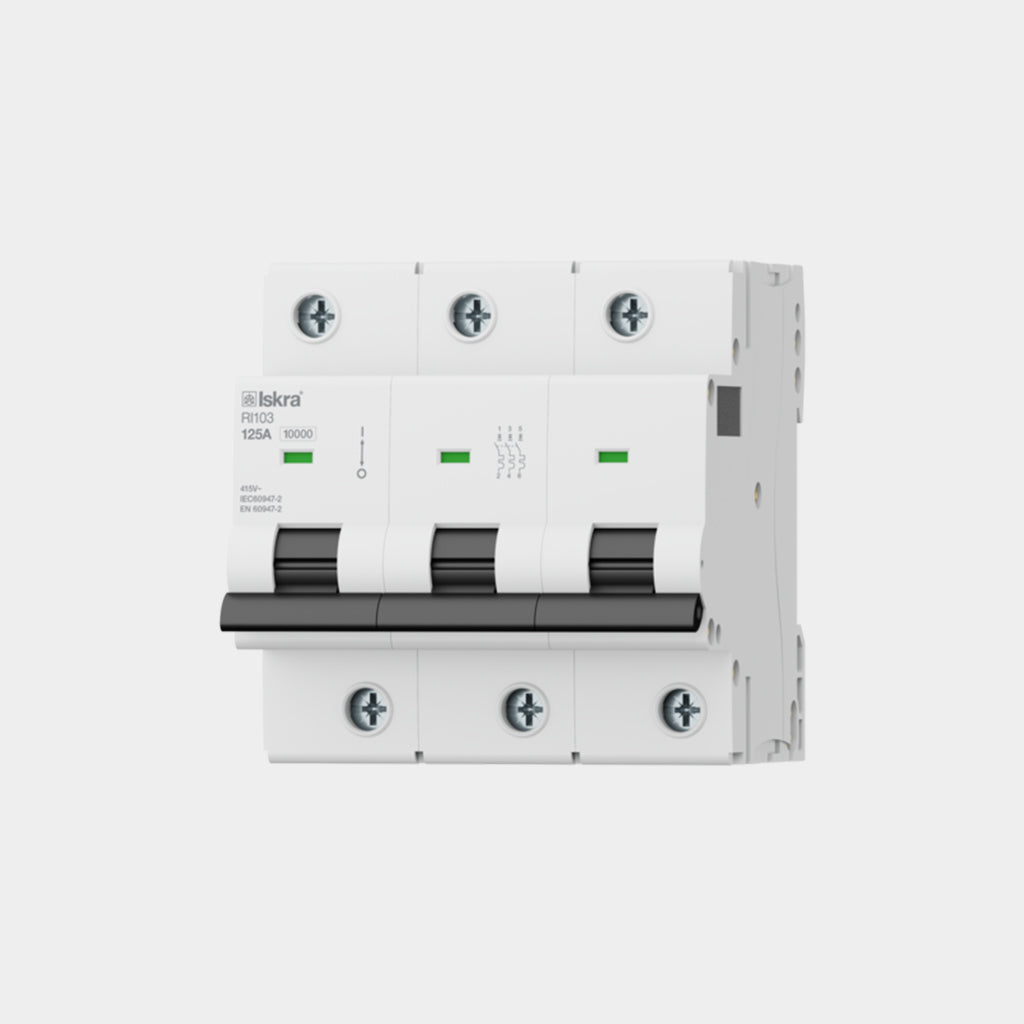 Miniature Circuit Breakers RI100